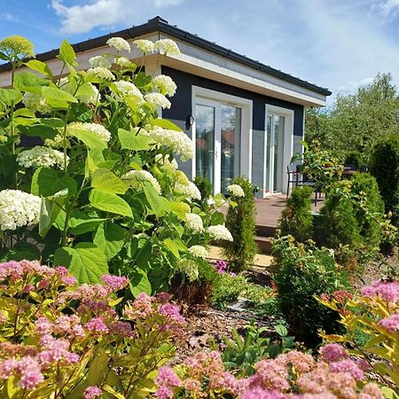 Family Garden House With Free Private Parking & Playground Villa Riga Exterior photo